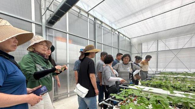 함평군, 딸기 농가 역량 강화 ‘속력’…선진지 견학 성료