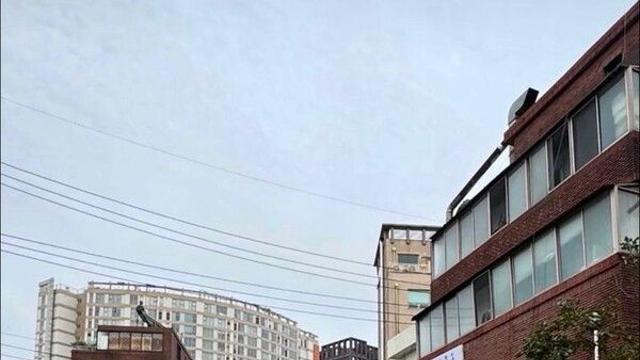 김혜수, 짜장라면 먹어도 여전히 늘씬