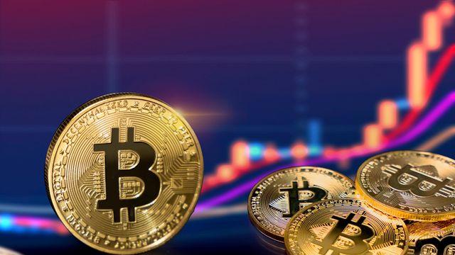 8월 약세장 진입?…11만5000달러 붕괴