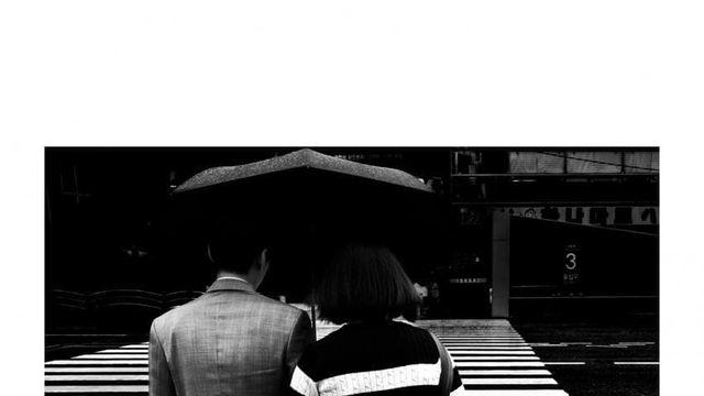 7월에 찍은 사진 모아봤음