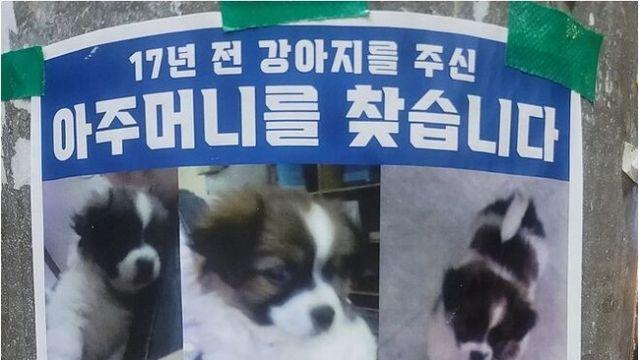 17년 전 댕댕이를 주신 아주머니를 찾습니다.