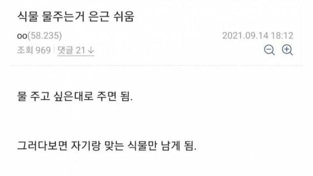 식물 물주는거 은근 쉬움.jpg,,