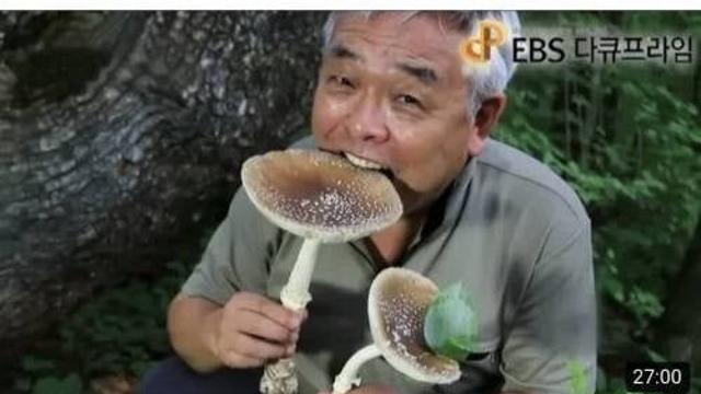 거부할수 없는 썸네일을 보여주는 EBS,,