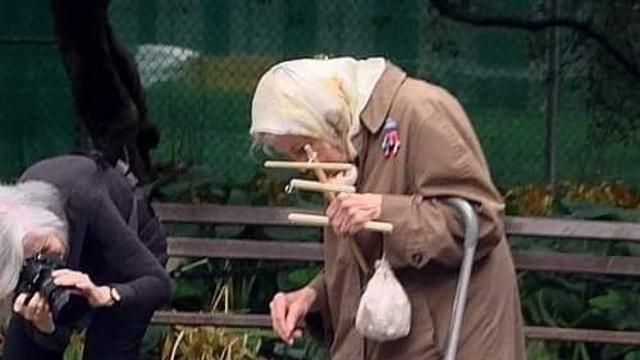 나이들어 수구리기 힘들어서 내 분신으로 다람쥐 먹이 준다