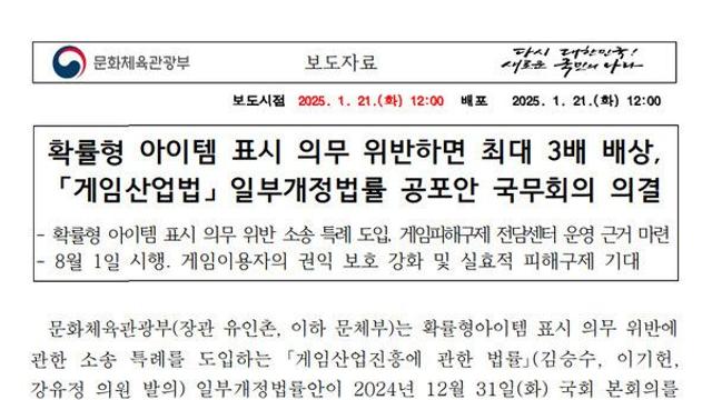 확률형 아이템 3배 징벌적 배상...게임사 