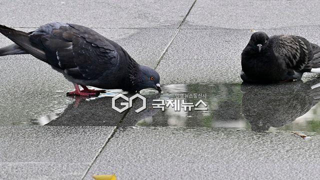 [날씨] '폭염 언제까지' 8월 더 덥다...다음 주 제주•중부지방 비 소식