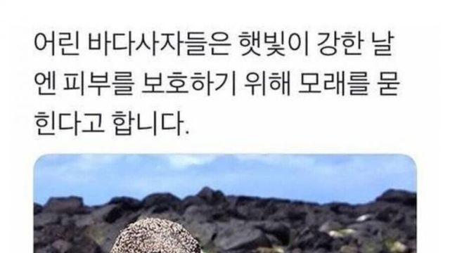 바다인절미.jpg,,