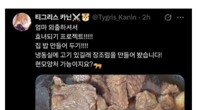 효녀가 되고싶었던 버튜버.jpg