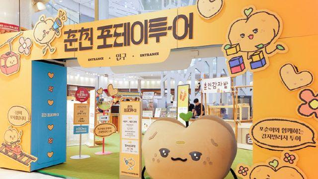 춘천 감자, 부산서 통했다…‘포테이투-어’ 팝업스토어 성황