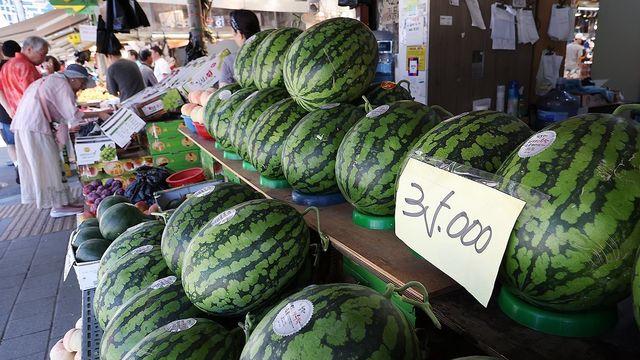 폭염에 농산물 가격 줄줄이 인상…수박·토마토·배추 '껑충'