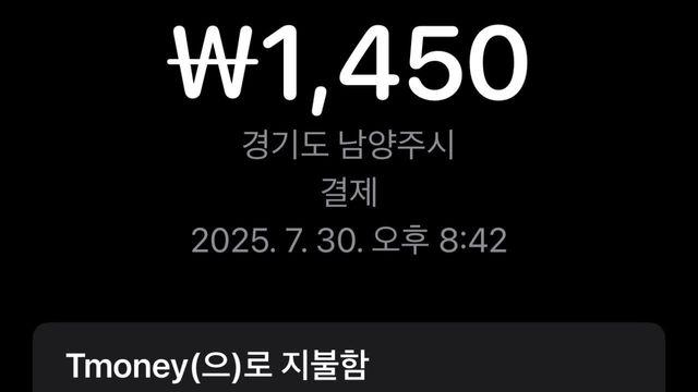 중복 결제 오류 너무 심각한 애플페이 티머니