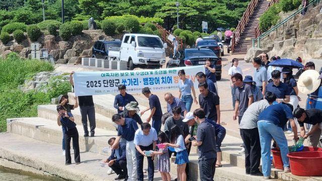 단양강에 생태 활력 불어넣다…쏘가리·뱀장어 8만 마리 방류
