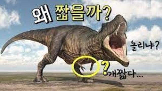 안 쓰면 퇴화하는 근육.