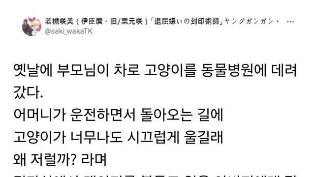 아빠 버리고 온 줄 알고 서럽게 운 고양이