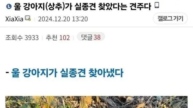 [스압] 강아지가 실종견 찾음,,