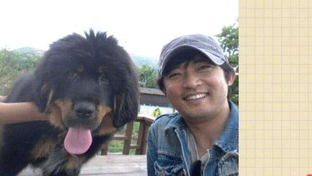 안재욱, 반려견 '심바' 떠나보내…주말 드라마 종영 앞두고 '안타까운 이별'