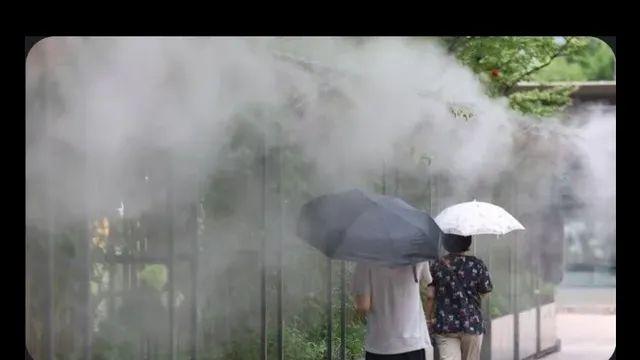 드디어 한국인을 구원하기 위해 도착한 비구름 근황