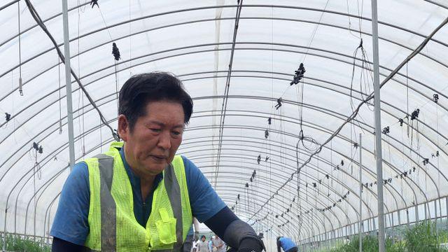 당대표 당선 후 정청래 첫 일정은 호남행…