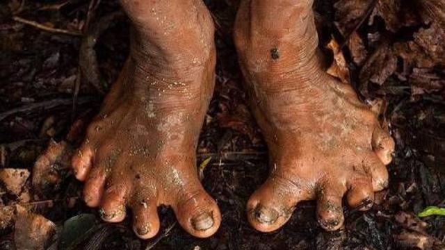 천 년간 문명과 단절된 채 살아온 아마존 부족 ‘발 모양’,,