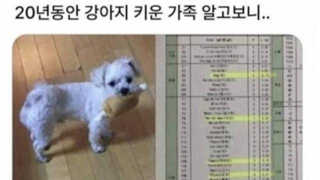 20년간 애완견 키운 가족의 반전,,