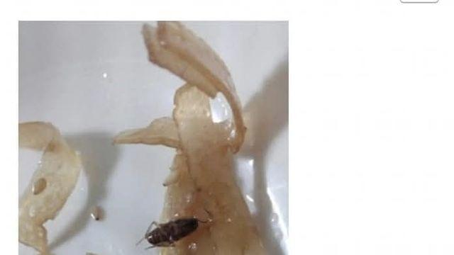 음식에서 바퀴벌레가 나왔다고하자 사장이 보인 반응 