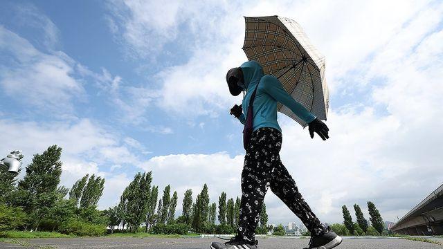 대전·세종·충남 최대 40㎜ 비…체감온도 높아 '후텁지근'