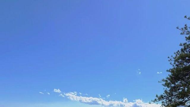 한예슬 부부 근황