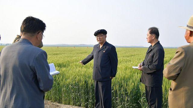 식량 부족 북한, 양곡 가공시설 현대화…