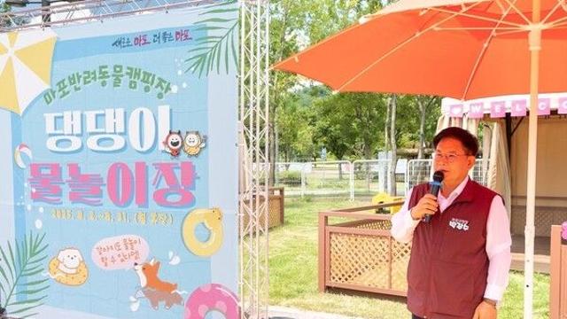 마포구,  반려견들도 시원한 여름을 보내고 싶다!  댕댕이 물놀이장 개장