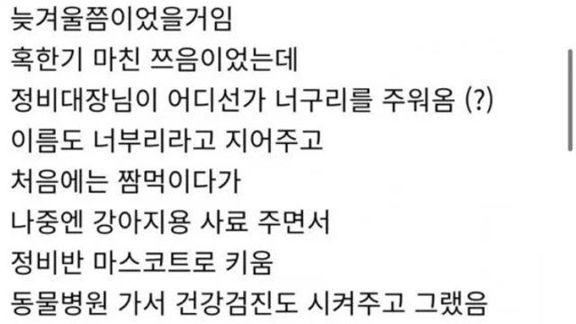 군대에서 너구리한테 불닭볶음면 먹인 썰