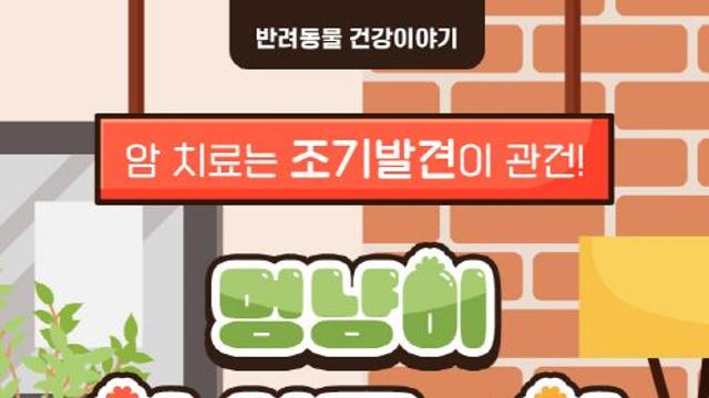 [반려동물 건강이야기] 암 치료는 조기발견이 관건! 멍냥이 암 신호를 앎