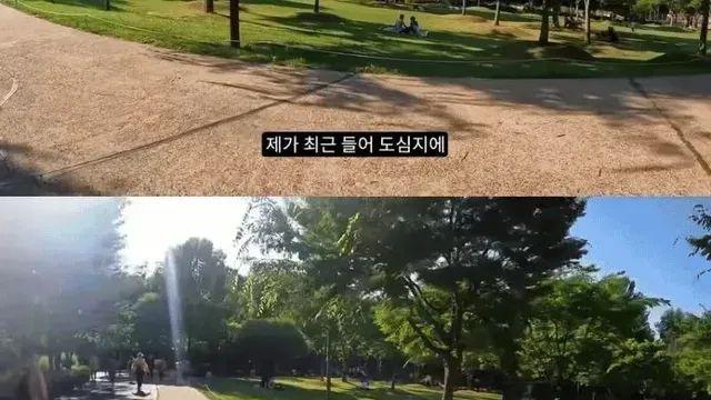 요즘 한강에서 자주 보인다는 동물.jpg,,