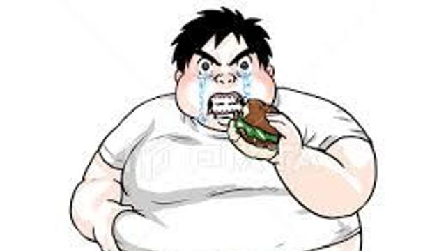 헌팅 포차에 돼지는 오지마라.