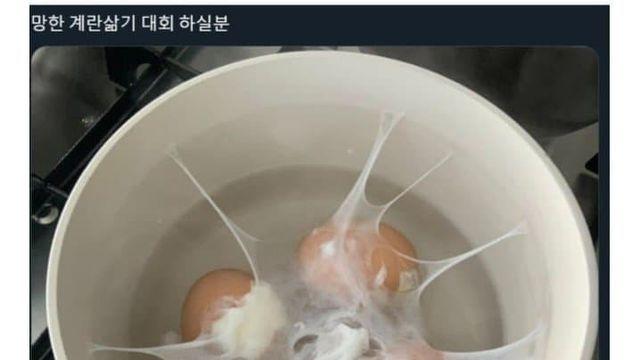 망한 삶은계란