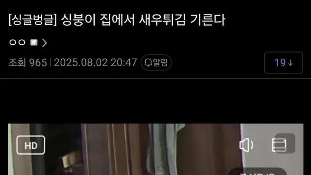 [스압] 집에서 새우튀김 기르는 디씨인,,