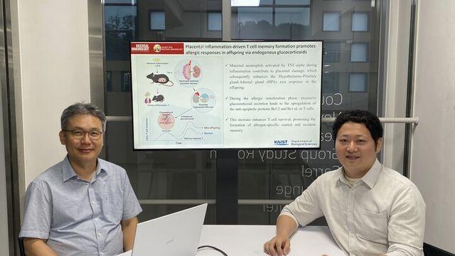 엄마 몸속 염증, 아이 면역 기억 바꾼다···KAIST, 알레르기 원인 첫 규명