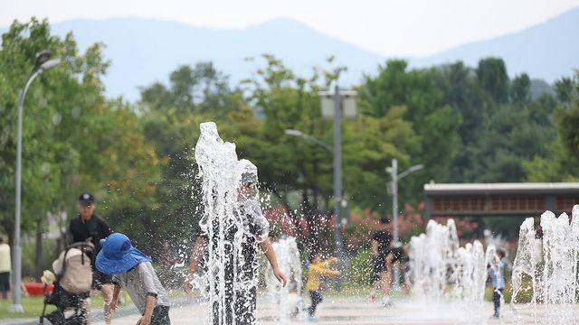포항 낮 최고 33.8도…대구·경북 덥고 습한 날씨 이어져