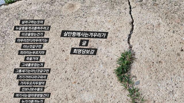 [보감과의 동행103] 살만항께사는겨우리가