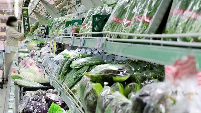 10㎏당 무려 11만 8500원…전국 최고가로 출하된 국민 식재료 정체