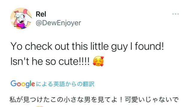 바다에서 귀여운 생물을 발견한 한 트위터 유저.jpg,,