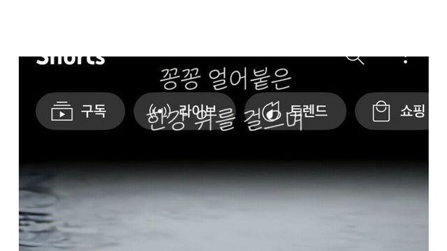 꽁꽁 한강위 냥이 근황