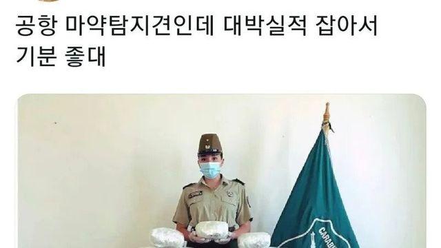 대박 실적 잡아서 기분좋은 댕댕이