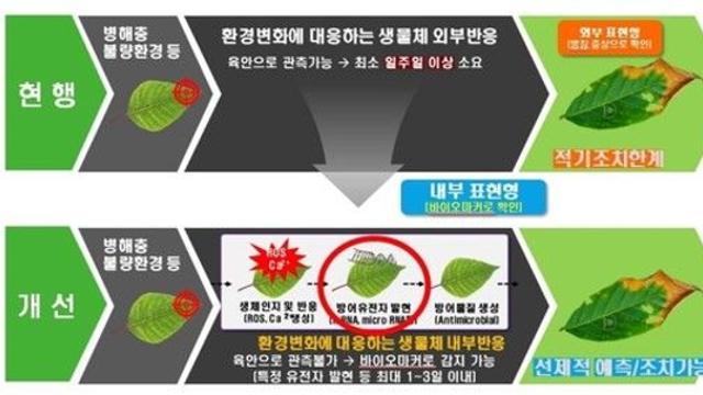 농작물 생체정보 AI로 미래 환경 스트레스 예측한다