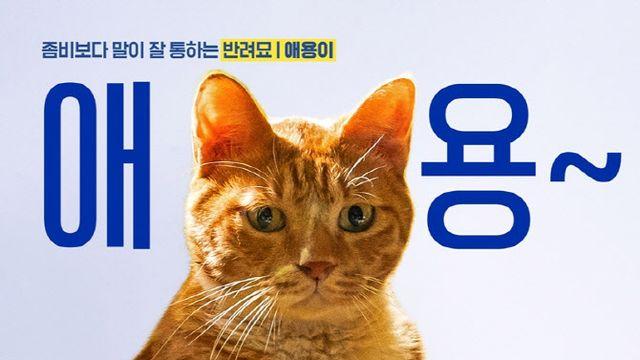 '파죽지세' 좀비딸, 200만 넘고 300만 노린다