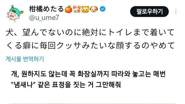 화장실 갈 때 꼭 따라오는 강아지