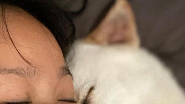 이효리 반려견 '미달이'와 평온하게 