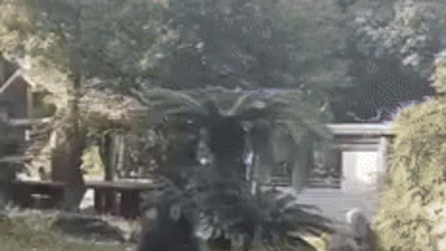 내가 여기있다고 못 때릴거 같냐?