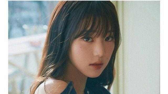 장원영을 모델로 쓰고 있는 브랜드들의 평가