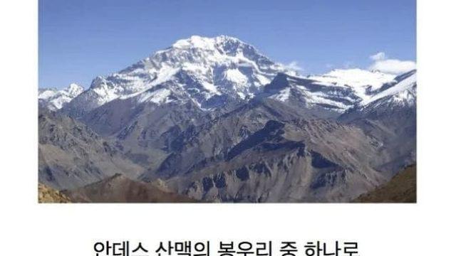 천하제일 고인물 남미 아줌마 5인방