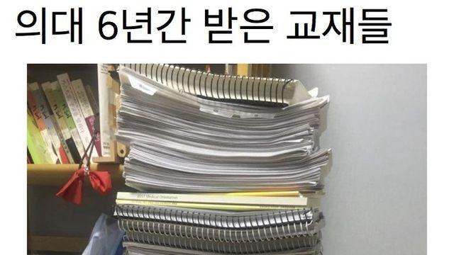 의대생들이 족보에 벌벌 기는 이유